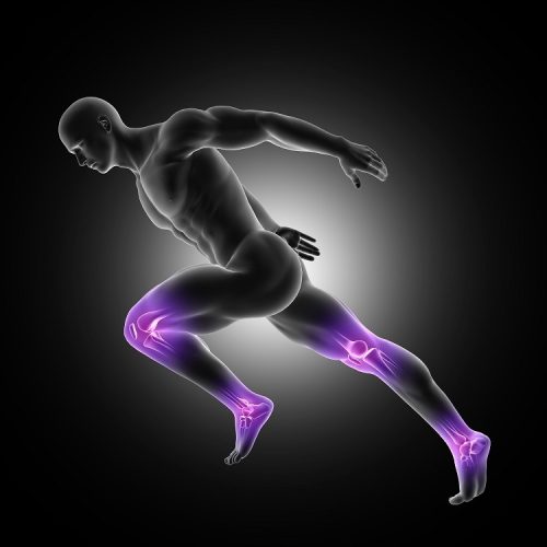 3D render of a male figure in sprinting pose with leg joints highlighted